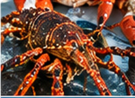 Lobster